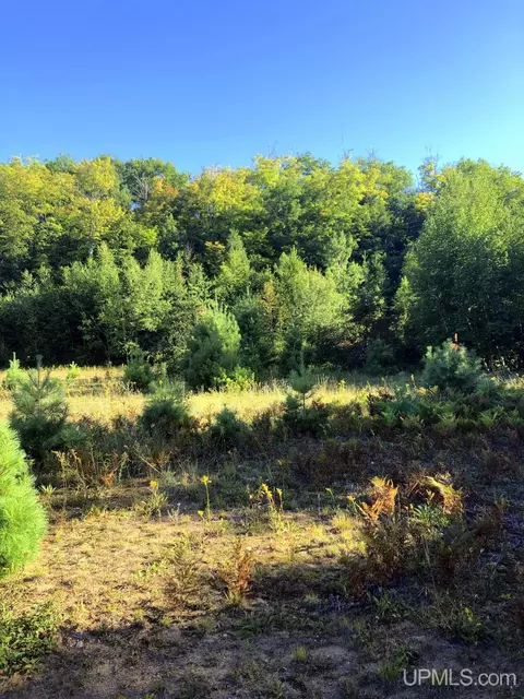 360 E Us41m28, Negaunee, MI 49866 photo 17