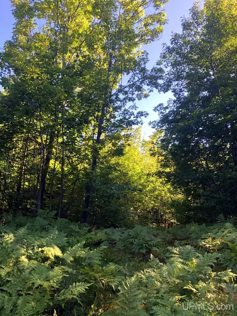 360 E Us41m28, Negaunee, MI 49866 photo 14