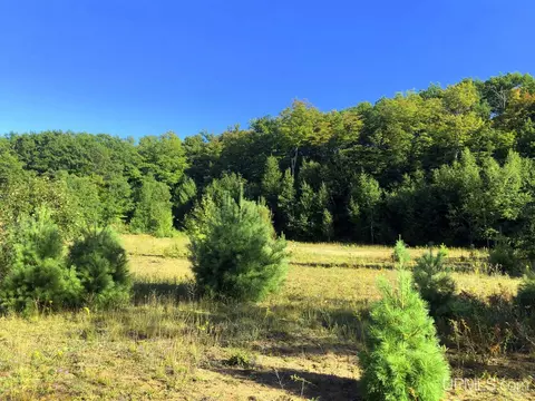 360 E Us41m28, Negaunee, MI 49866 photo 16