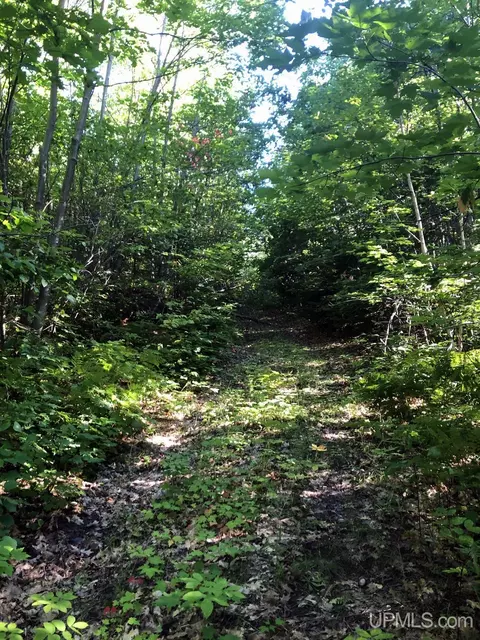 360 E Us41m28, Negaunee, MI 49866 photo 13