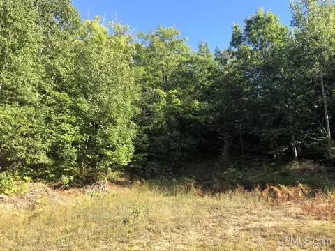 360 E Us41m28, Negaunee, MI 49866 photo 10