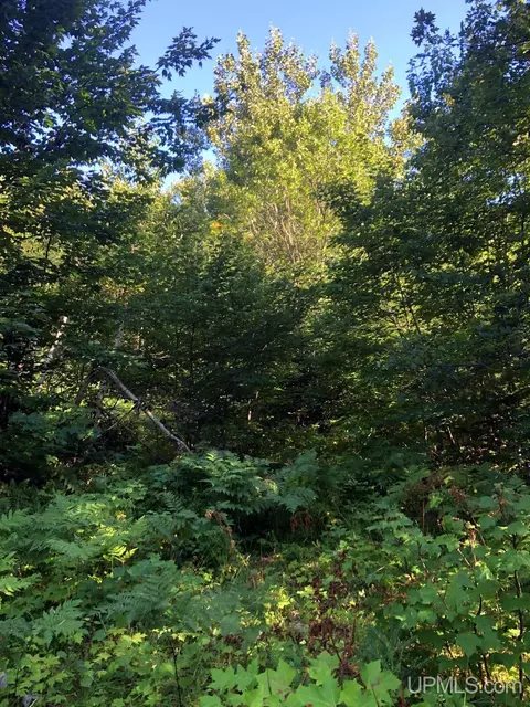 360 E Us41m28, Negaunee, MI 49866 photo 4