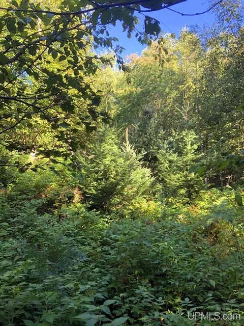 360 E Us41m28, Negaunee, MI 49866 photo 5