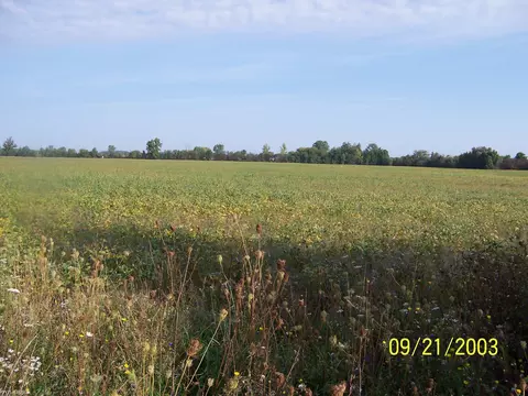 0 Carroll Rd, Columbus, MI 48063