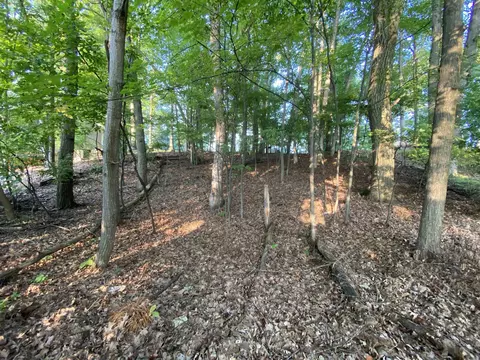 lot222 Lancelot, Gladwin, MI 48624
