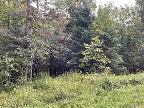Lots 18 & 19 Cannonball, Bessemer, MI 49911