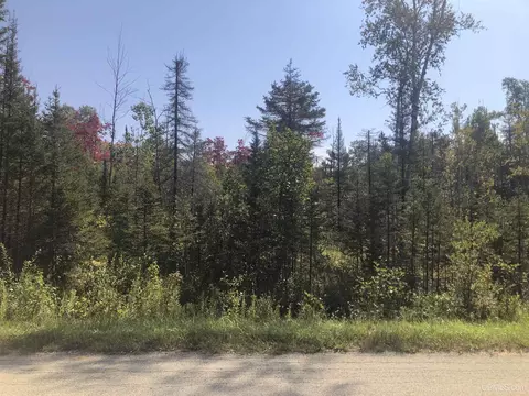 Tbd Friday, Perkins, MI 49872 photo 3