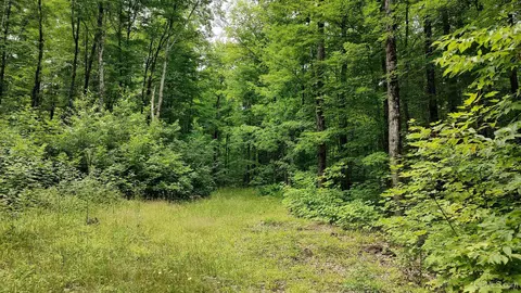 26604 Ford, Covington, MI 49919 photo 31