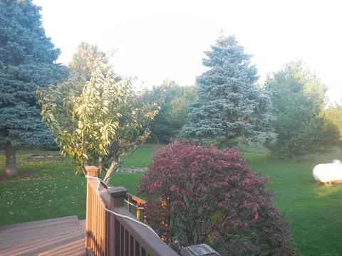 4949 Downington, Deckerville, MI 48427 photo 35