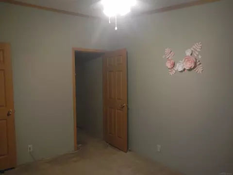4949 Downington, Deckerville, MI 48427 photo 31