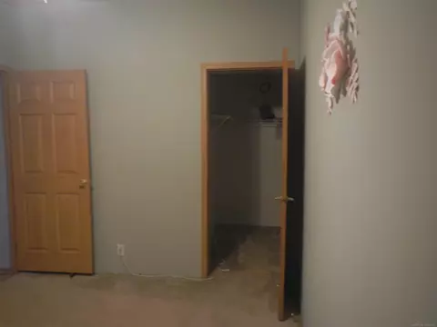 4949 Downington, Deckerville, MI 48427 photo 32