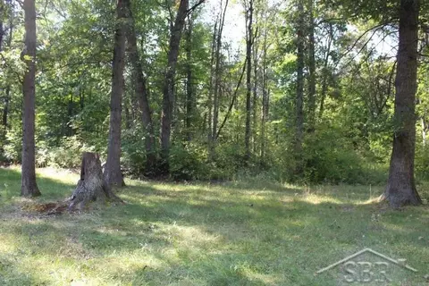 322 S Castor, Shepherd, MI 48883 photo 21