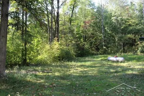 322 S Castor, Shepherd, MI 48883 photo 26