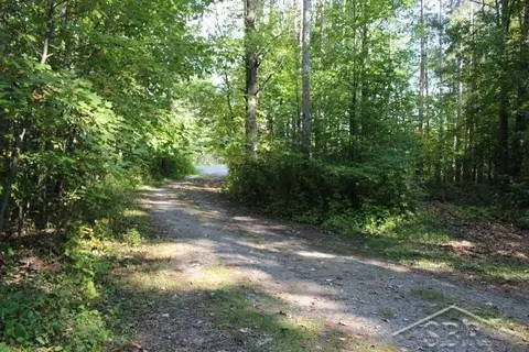 322 S Castor, Shepherd, MI 48883 photo 28