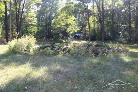 322 S Castor, Shepherd, MI 48883 photo 27