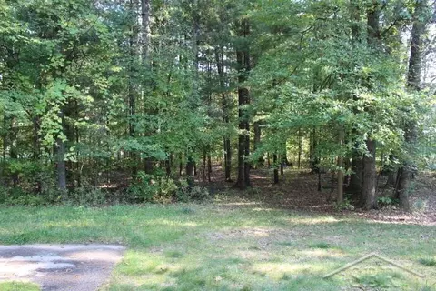 322 S Castor, Shepherd, MI 48883 photo 33