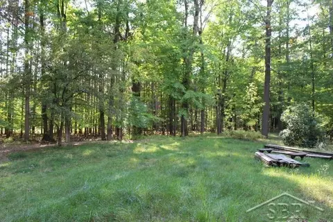 322 S Castor, Shepherd, MI 48883 photo 32