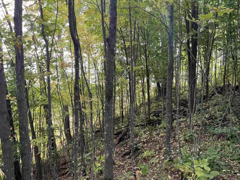 Nnn Ford River, Felch, MI 49831