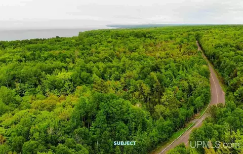 Tbd45 Freda, Atlantic Mine, MI 49905