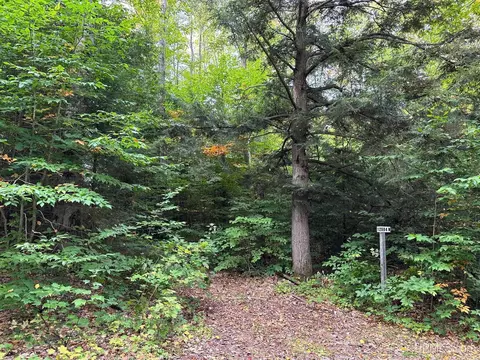 12984 N Little Fox, Paradise, MI 49768