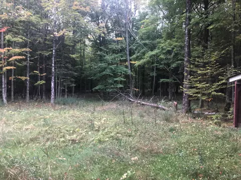 1048 D Rd, Bark River, MI 49807 photo 10