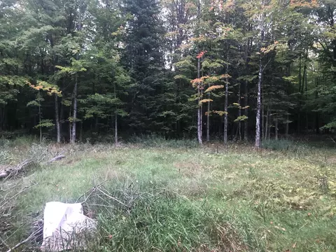 1048 D Rd, Bark River, MI 49807 photo 11