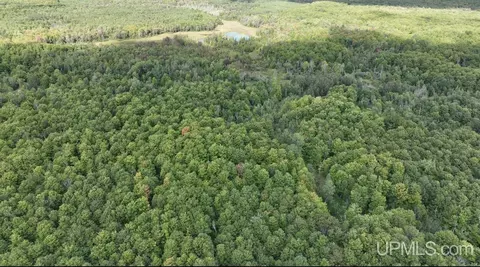 Tbd Co Rd H-58 Lot C, Shingleton, MI 49884 photo 3