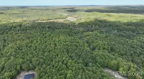 Tbd Co Rd H-58 Lot C, Shingleton, MI 49884 photo 2