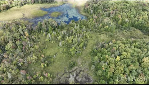 Tbd Co Rd H-58 Lot C, Shingleton, MI 49884 photo 5