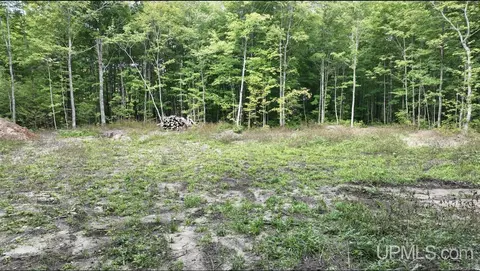 E12696 Co Rd H-58 Lot B, Shingleton, MI 49884 photo 3