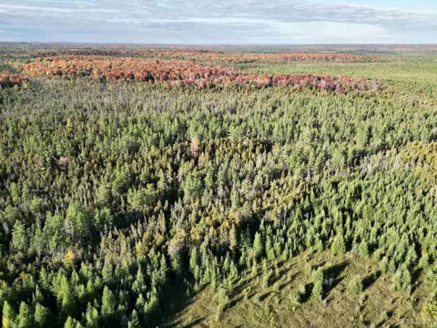 Tbd Off Cr Saa, Cornell, MI 49818 photo 21