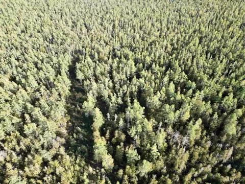 Tbd Off Cr Saa, Cornell, MI 49818 photo 13