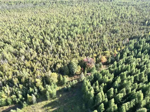 Tbd Off Cr Saa, Cornell, MI 49818 photo 24