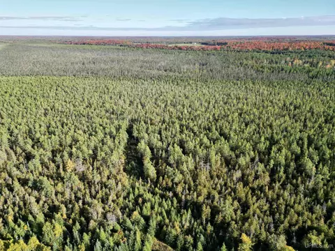 Tbd Off Cr Saa, Cornell, MI 49818 photo 22