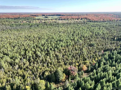 Tbd Off Cr Saa, Cornell, MI 49818 photo 23