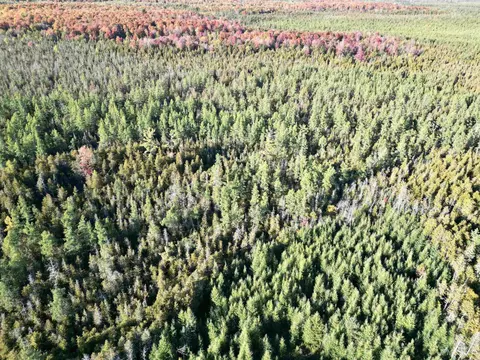 Tbd Off Cr Saa, Cornell, MI 49818 photo 14