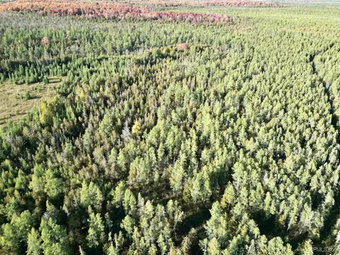 Tbd Off Cr Saa, Cornell, MI 49818 photo 12