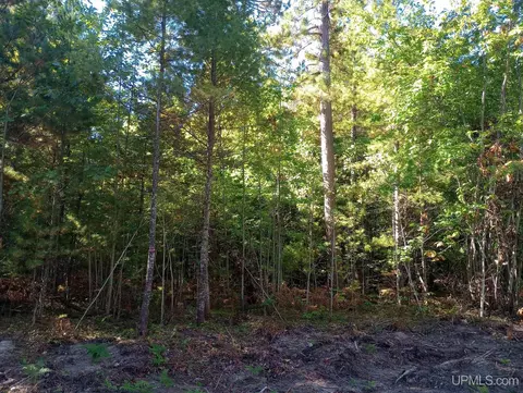 tbd White Pne #(OFF FORESTVILLE BASIN TRAIL, Marquette, MI 49855