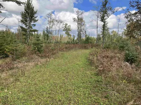 Tbd Bird, Vulcan, MI 49892