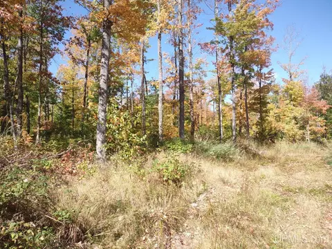 tbd Off M38, Pelkie, MI 49958