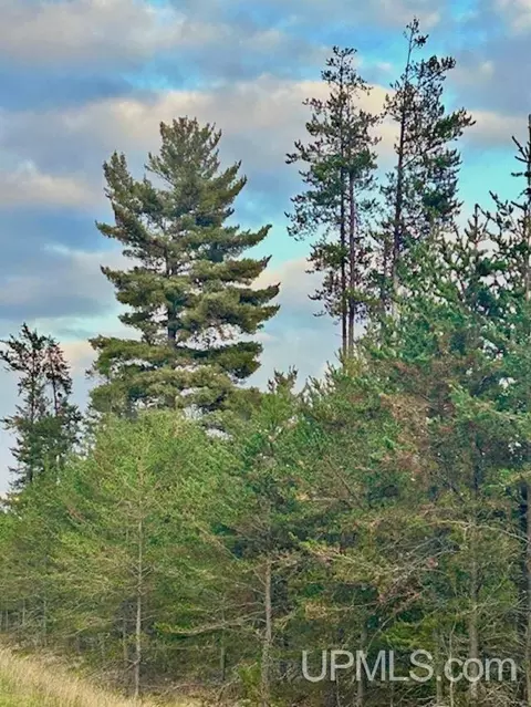Tbd North Camp, Ishpeming, MI 49849 photo 2