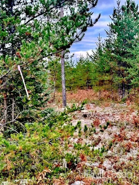 Tbd North Camp, Ishpeming, MI 49849 photo 4