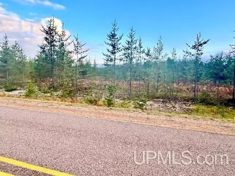 Tbd North Camp, Ishpeming, MI 49849 photo 6
