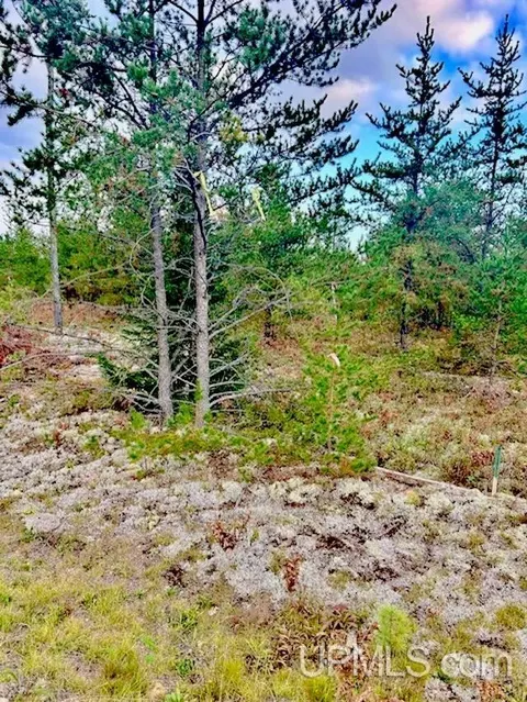 Tbd North Camp, Ishpeming, MI 49849 photo 3