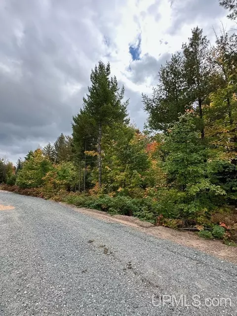 Tbd Forge, Negaunee, MI 49866 photo 2