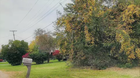7790 N Custer, Monroe, MI 48162 photo 3