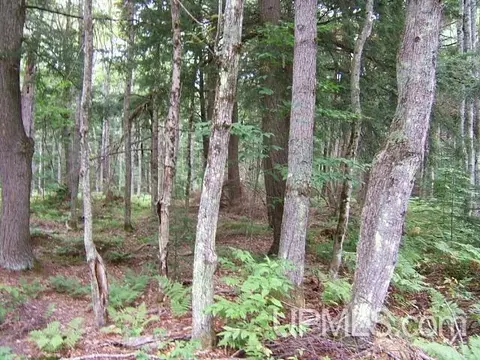 Tbd Old Plank, Wetmore, MI 49895