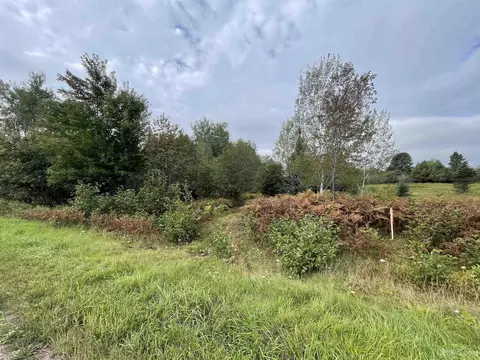 Lot G Cadeau, Baraga, MI 49908