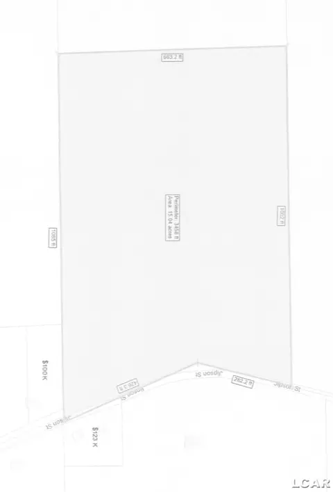 600 Jipson, Blissfield, MI 49228