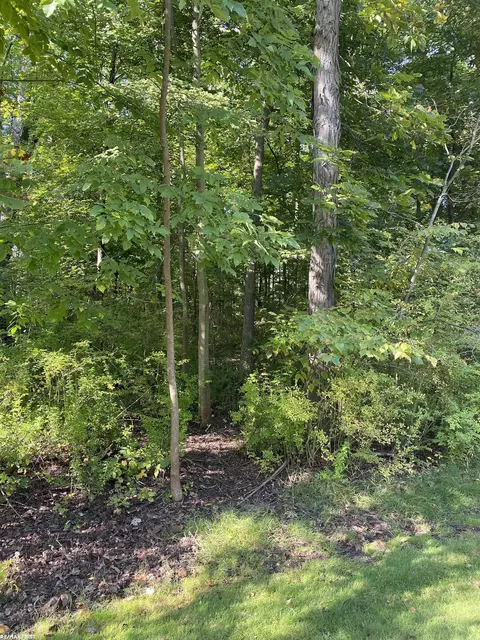 0 St Clair, Harsens Island, MI 48028